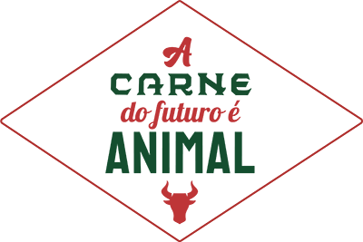 logo colorido copiar